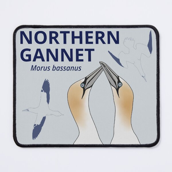 Item preview, Northern Gannets designed and sold by taylorrowan.