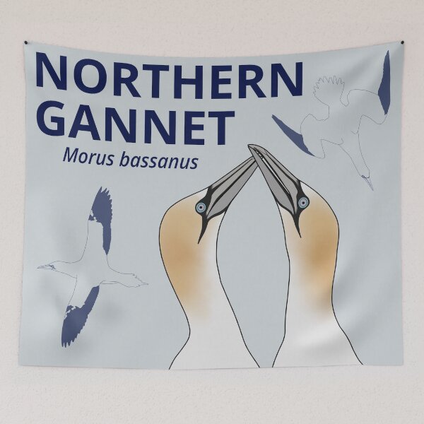 Item preview, Northern Gannets designed and sold by taylorrowan.