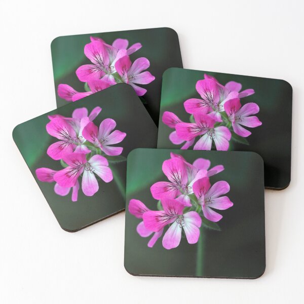 Item preview, Geranium designed and sold by Tom McPherson Photography.