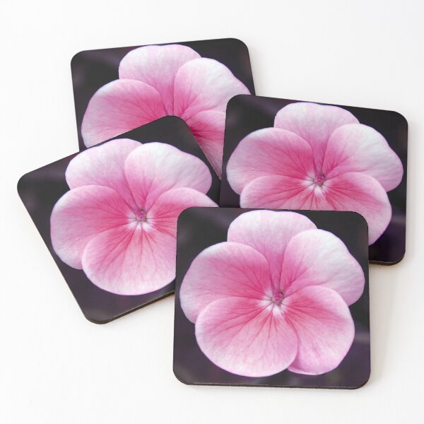 Item preview, GEranium designed and sold by Tom McPherson Photography.