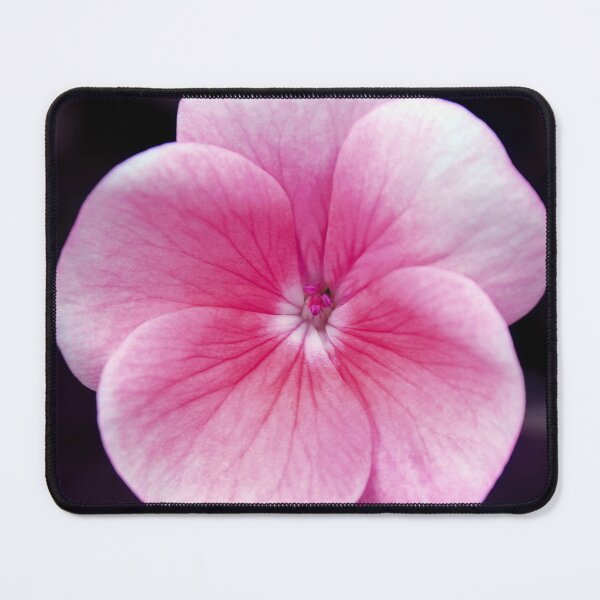 Item preview, GEranium designed and sold by Tom McPherson Photography.