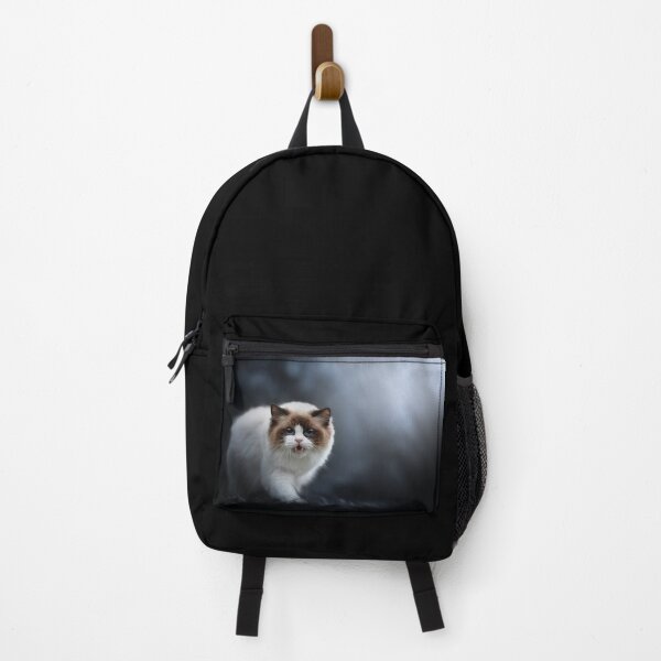 Item preview, Ragdoll cat, photography, artistic, dark - Photography and Edition designed and sold by MrGreenDragon.