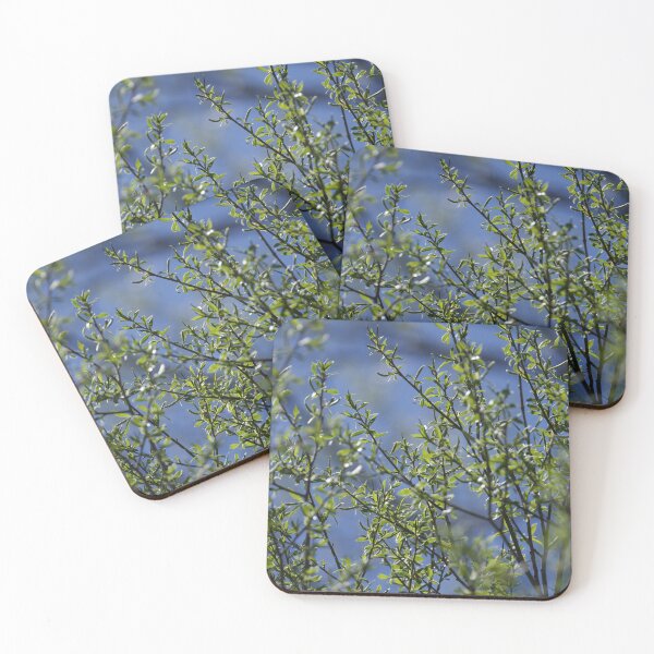 Item preview, Leaves in sunlight designed and sold by Cblifeisgood.
