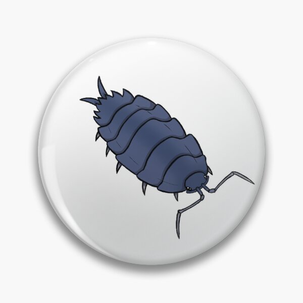 Item preview, Porcellionides pruinosus "blue" Isopod designed and sold by Azure-Exotics.