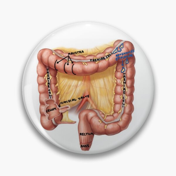 Item preview, Large Intestine Features designed and sold by Penny Lilley.
