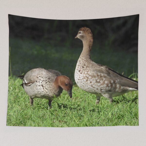 Item preview, Wood ducks foraging on the grass designed and sold by Jenny  Dyer.