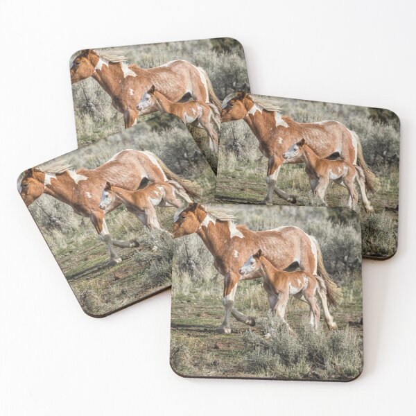 Item preview, Chestnut Pinto Mare and Foal, No. 1 designed and sold by Belinda Greb Photography.