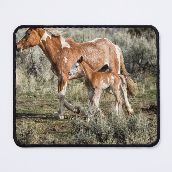 Item preview, Chestnut Pinto Mare and Foal, No. 1 designed and sold by Belinda Greb Photography.