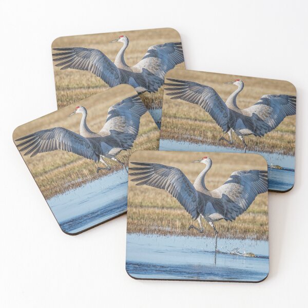 Item preview, High Stepping Sandhill Crane designed and sold by Belinda Greb Photography.