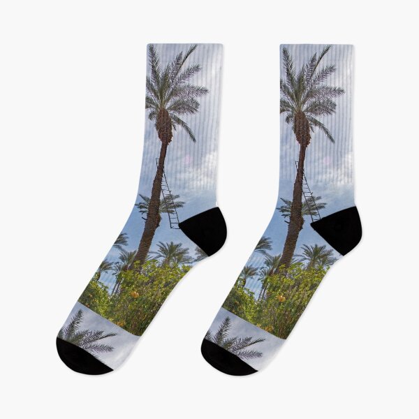 Item preview, Date Palms designed and sold by CarolM.