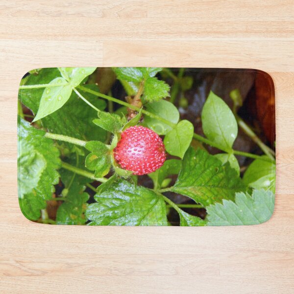 Item preview, Mock Strawberry Fruit designed and sold by gistinker.