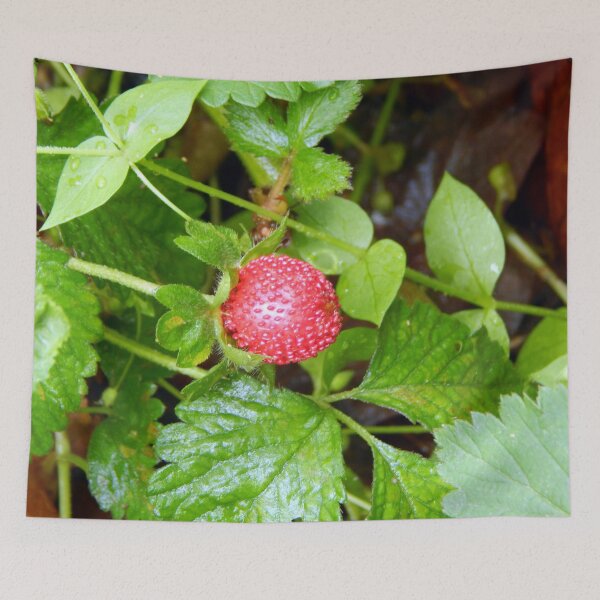 Item preview, Mock Strawberry Fruit designed and sold by gistinker.