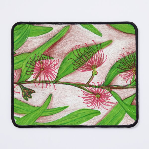 Item preview, Australian Gum Study designed and sold by pens.