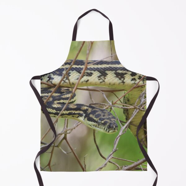 Item preview, Python an Australian Reptile designed and sold by Jenny Dyer.