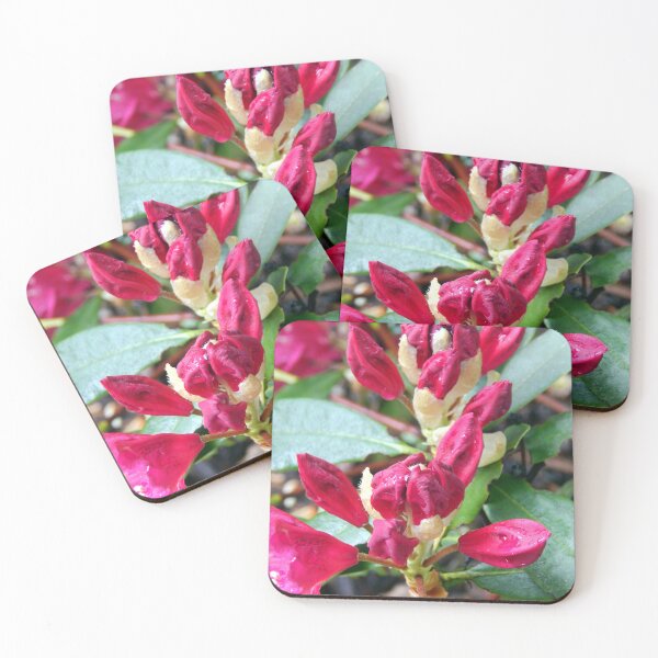 Item preview, Dual Rododendron Blooms designed and sold by gistinker.