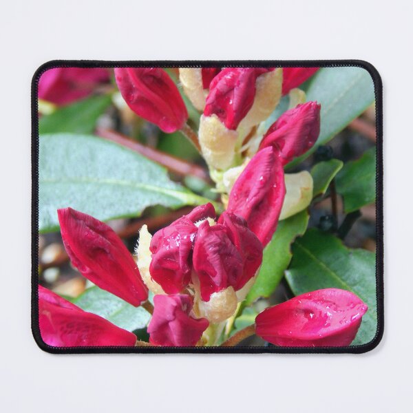 Item preview, Dual Rododendron Blooms designed and sold by gistinker.