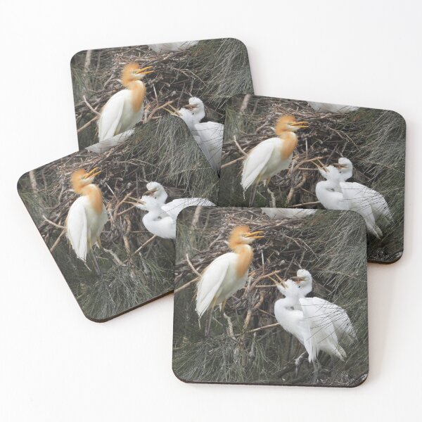 Item preview, Cattle egret feeding her babies designed and sold by Jenny  Dyer.