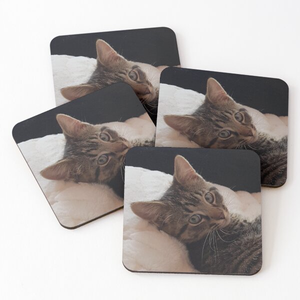 Item preview, Tabby Kitten Close-up designed and sold by WhiteSoftPetals.