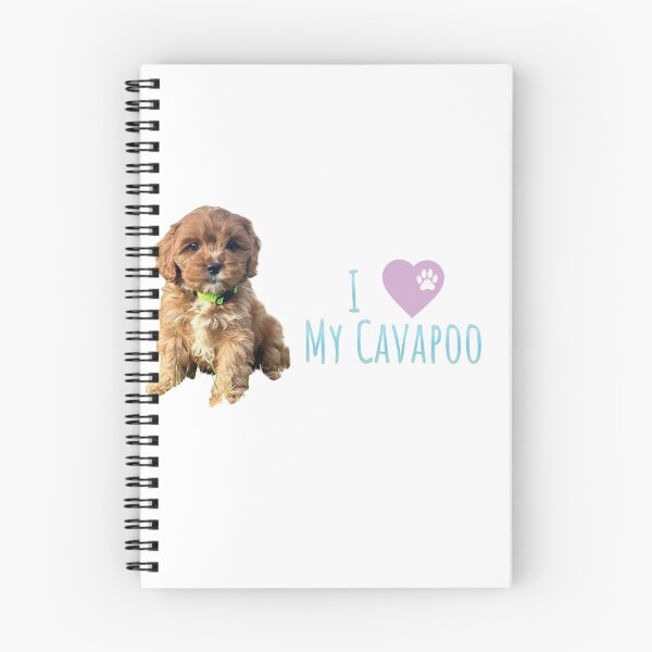 Item preview, I Love My Cavapoo designed and sold by steingia.