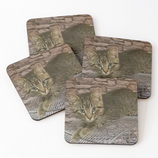 Item preview, Mischievous Tabby Kitten on Top of Bird Cage designed and sold by WhiteSoftPetals.