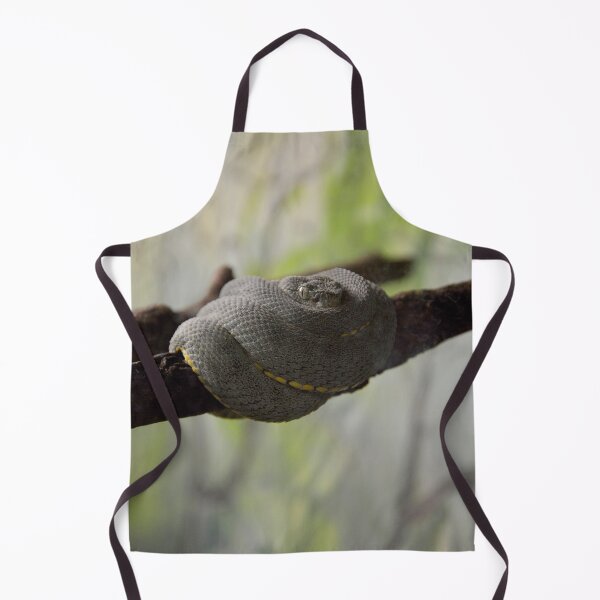 Item preview, Brazil - Sao Pablo, Reptile, Atheris negra designed and sold by Natasha Cusmanich.
