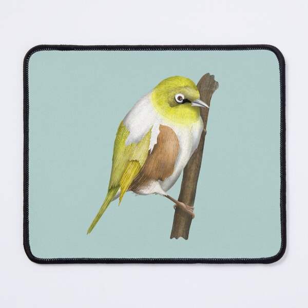 Item preview, Silvereye tauhou New Zealand bird designed and sold by piedaydesigns.