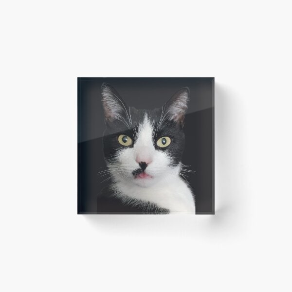 Item preview, Tuxedo Cat with Tongue Out designed and sold by WhiteSoftPetals.