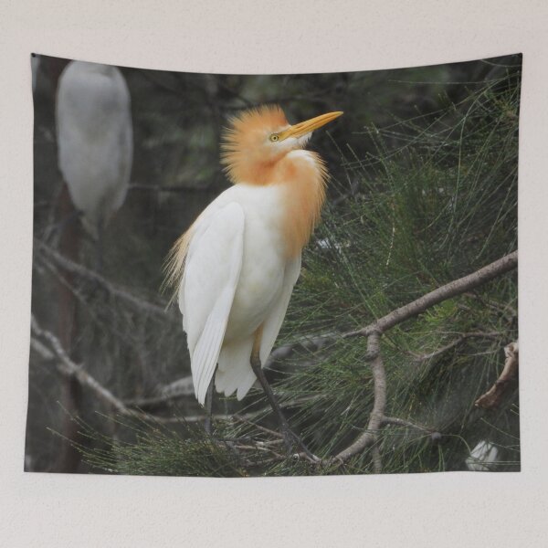 Item preview, Cattle Egret resting in the tree designed and sold by Jenny  Dyer.