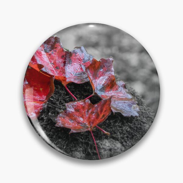 Item preview, Four Red Maple Leaves on a Rock Selective Colour designed and sold by jrtwynam.