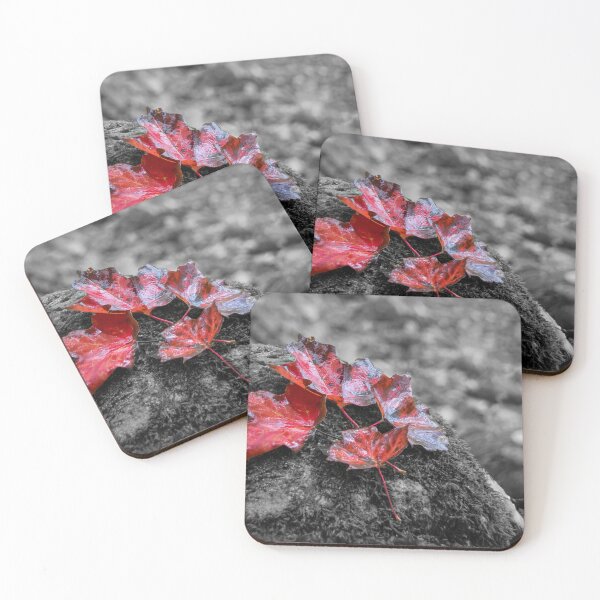 Item preview, Four Red Maple Leaves on a Rock Selective Colour designed and sold by jrtwynam.