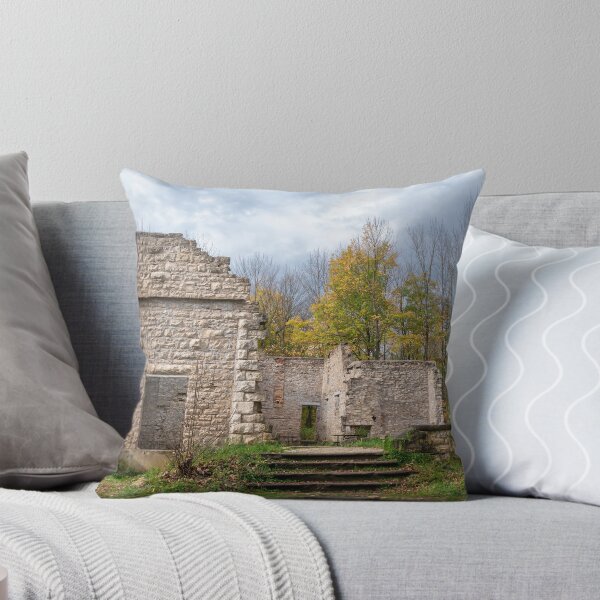 Item preview, Old Ruin in the Forest near Wiarton, Ontario designed and sold by jrtwynam.