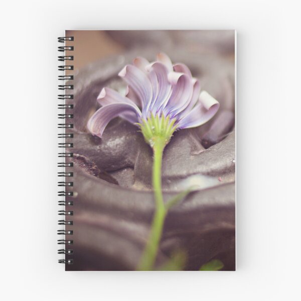 Item preview.
