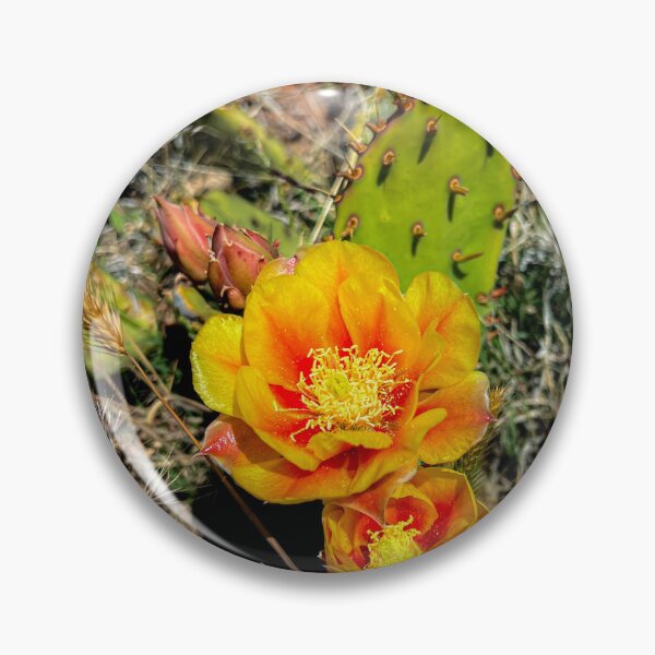 Artikelvorschau, Kaktus Blume entworfen und verkauft von TBBroadDesigns.