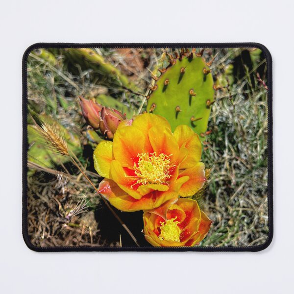 Item preview, Cactus Flower designed and sold by TBBroadDesigns.