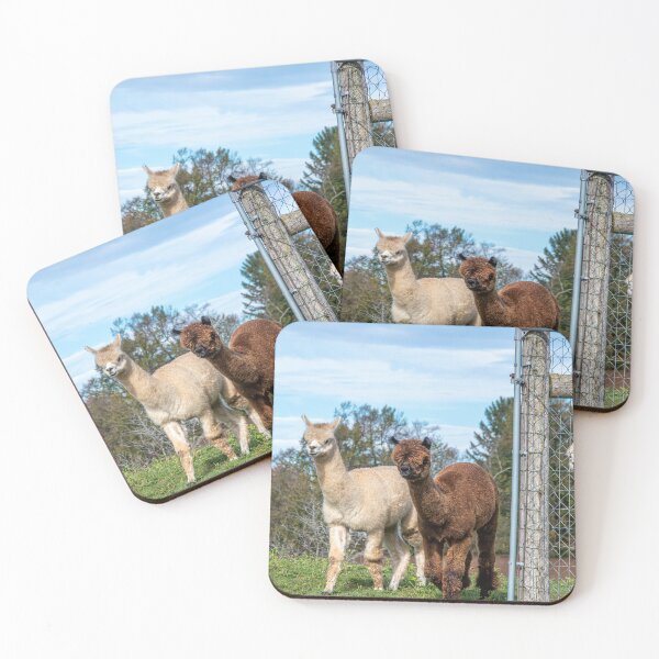 Item preview, Alpacas at Kickin' Back 1 designed and sold by jrtwynam.