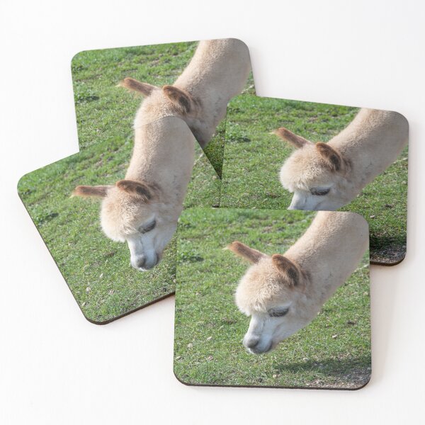 Item preview, Alpacas at Kickin' Back 2 designed and sold by jrtwynam.