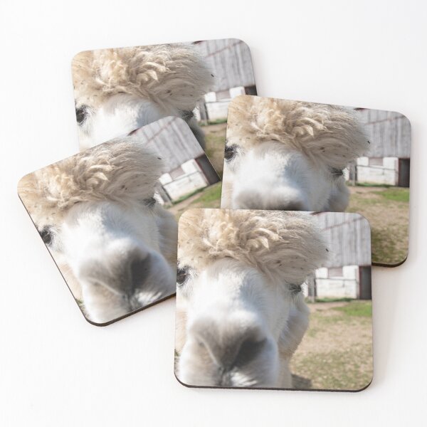 Item preview, Alpacas at Kickin' Back 3 designed and sold by jrtwynam.