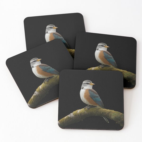 Item preview, bird designed and sold by Amitabr14.