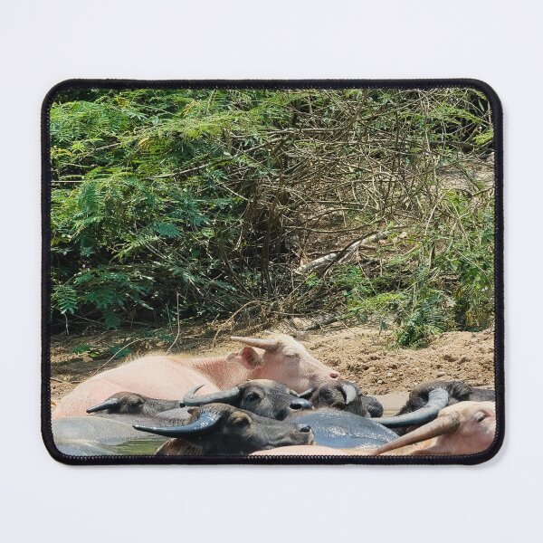 Item preview, Refreshing River: Buffaloes in the Waters of Nam Ou in Laos designed and sold by franck380.