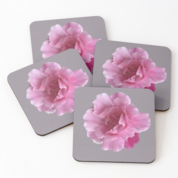 Item preview, Soft Flower, Spring Flower, Blush Pink designed and sold by suekieper.