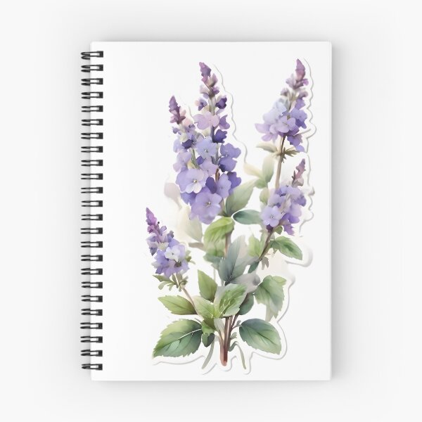 Item preview, Catmint (Nepeta cataria) designed and sold by HOMETOWN86.