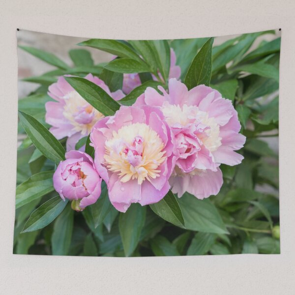 Item preview, Splendid Pink Peonies Refreshed by Spring Rain designed and sold by Georgia Mizuleva.