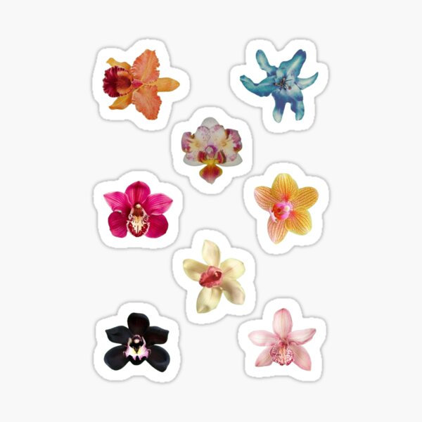 Item preview, orchids flower sticker pack designed and sold by oxrangejuice.