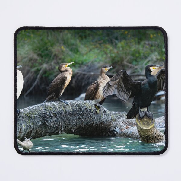 Item preview, Cormorant after hunting designed and sold by sandrosprecher.
