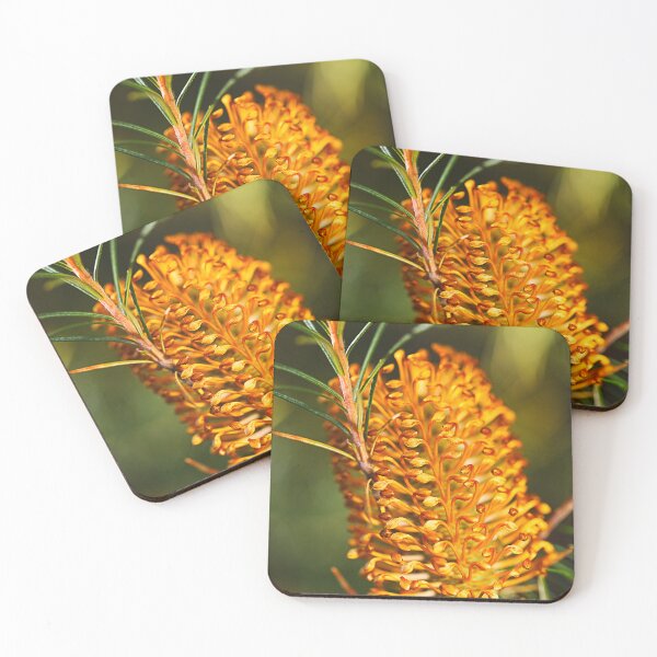 Item preview, Australian Banksia Flowering designed and sold by Joy Watson - Natural Light Photography .