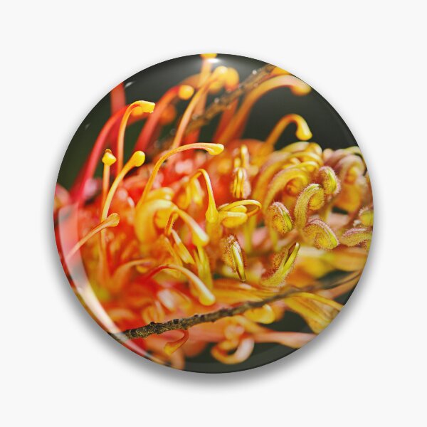 Item preview, Grevillea Flower Bright on Black designed and sold by Joy Watson - Natural Light Photography .