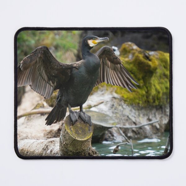 Item preview, Cormorant drying its wings designed and sold by sandrosprecher.