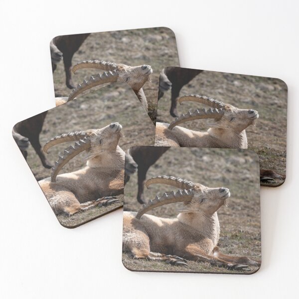 Item preview, Alpine ibex designed and sold by sandrosprecher.