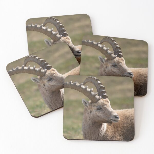 Item preview, Alpine ibex designed and sold by sandrosprecher.