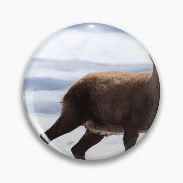 Item preview, Alpine ibex designed and sold by sandrosprecher.